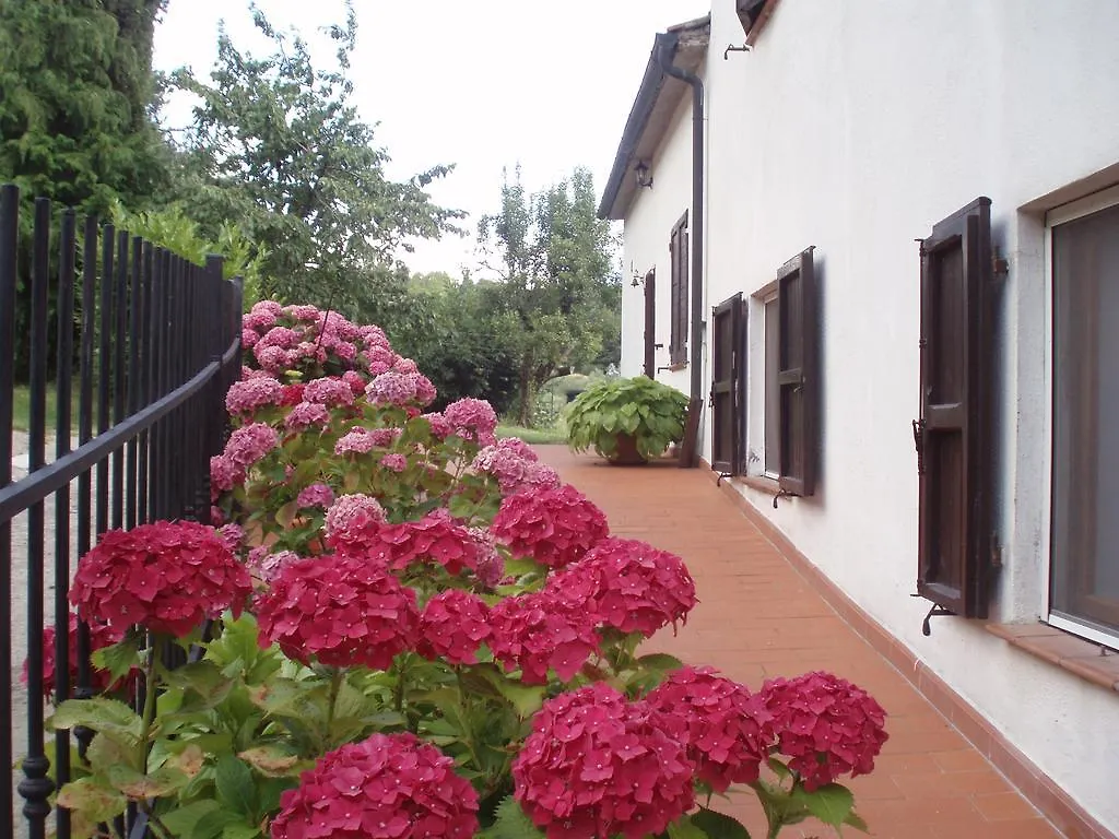 Terra Santa Apartment Santa Fiora